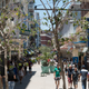 Havana now has a lively shopping district.